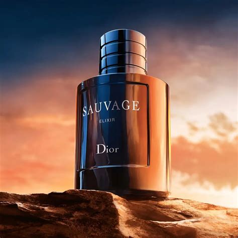 dior sauvage elixir top notes|Dior Sauvage Elixir reviews.